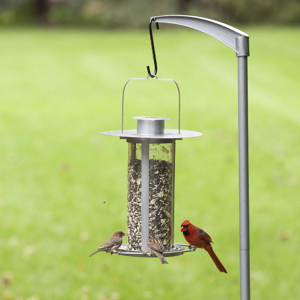 Perky Pet Solar Lantern Hanging Bird Feeder 3 5 Lb Capacity