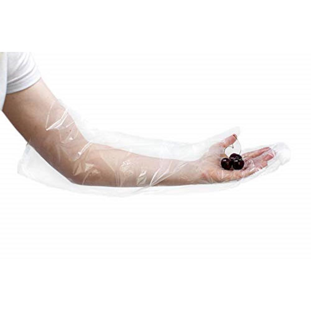 KLEEN CHEF 1 Size Fits Most, Disposable Food Handling Elbow Length Poly Gloves 100 per Box (1