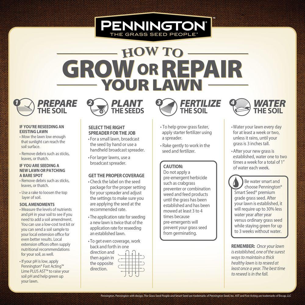 Pennington 25 Lb Annual Ryegr Gr Seed 100082633 The Home Pennington 25 Lb Annual Ryegr Gr Seed 100082633 The Home
