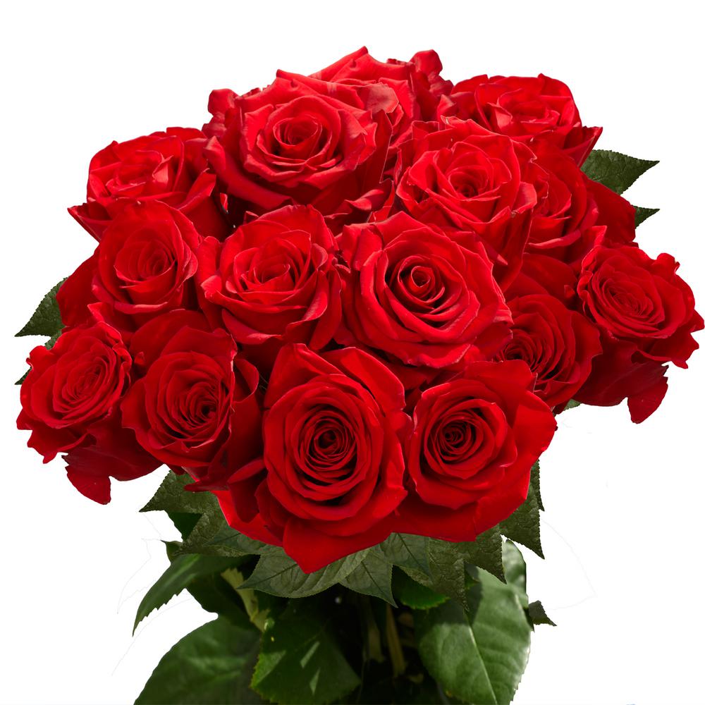 Rose Flower Bouquet Pics | Best Flower Site