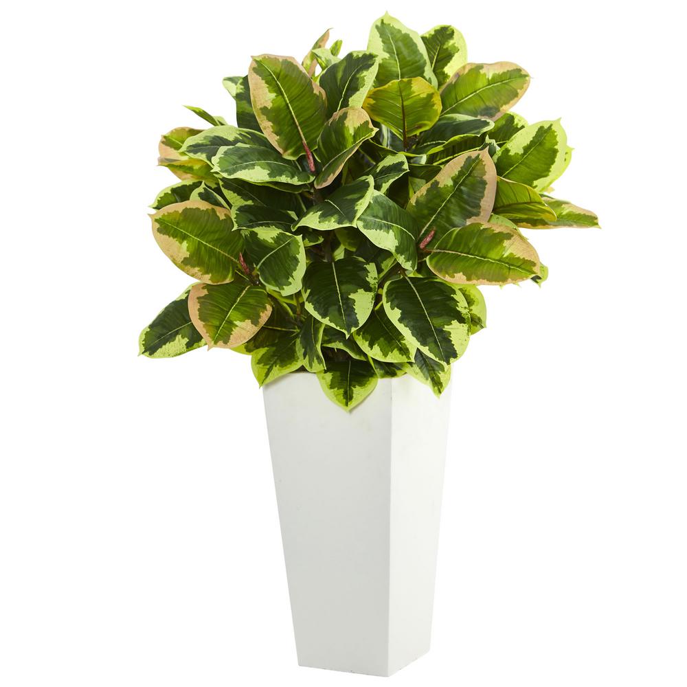 Variegated Rubber Artificial Plant in White Tower Planter (Real Touch)