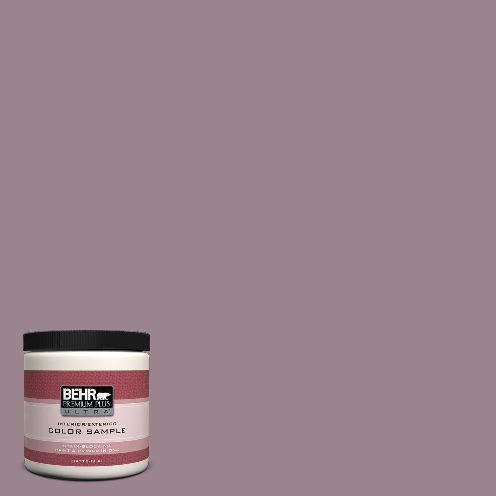 Behr Premium Plus Ultra 8 Oz Home Decorators Collection Hdc Cl 05 Behr Premium Plus Ultra 8 Oz Home Decorators Collection Hdc Cl 05