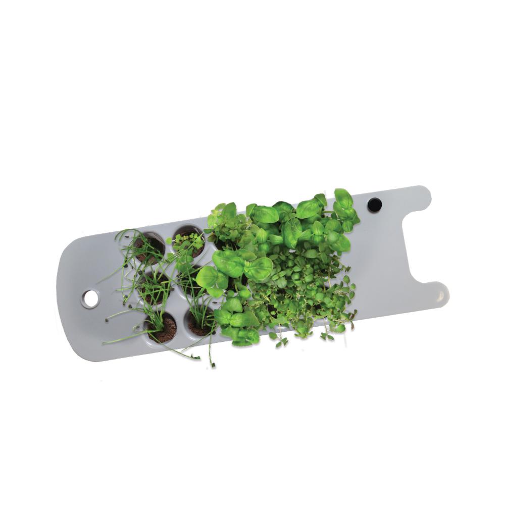 Miracle-Gro AeroGarden Seed Starting System Accessory For Sprout Models ...