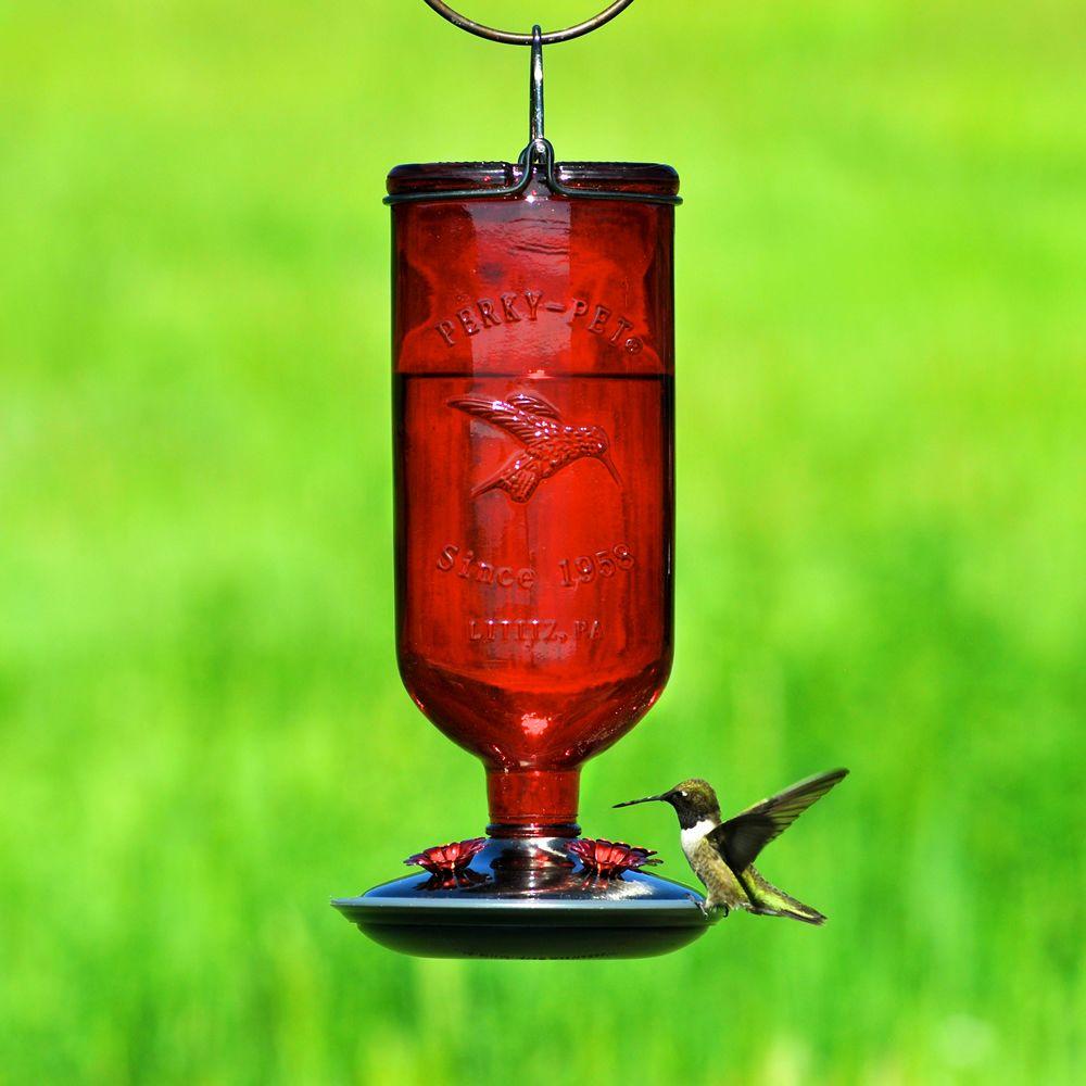 Perky Pet Red Antique Decorative Glass Hummingbird Feeder 16 Oz