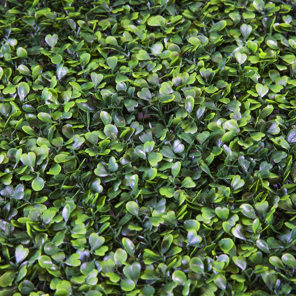Colourtree 20 X 20 Dark Green Milan Leaves Artificial Boxwood Hedges Living Wall Panels 12 Pcs Tbn2020 6 The Home Depot