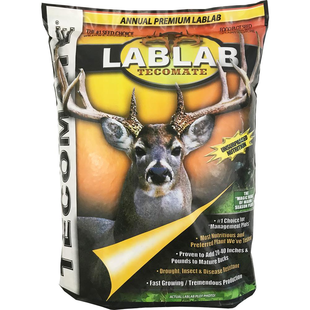 10-LB Lablab Seed Deer Food Plot Seed Fast Free Shipping. Wildlife Forage