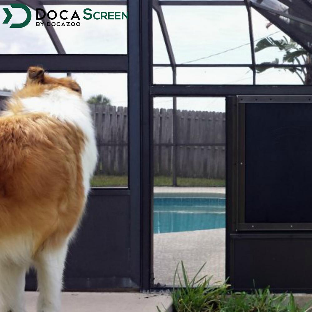 dog doors for screen enclosures