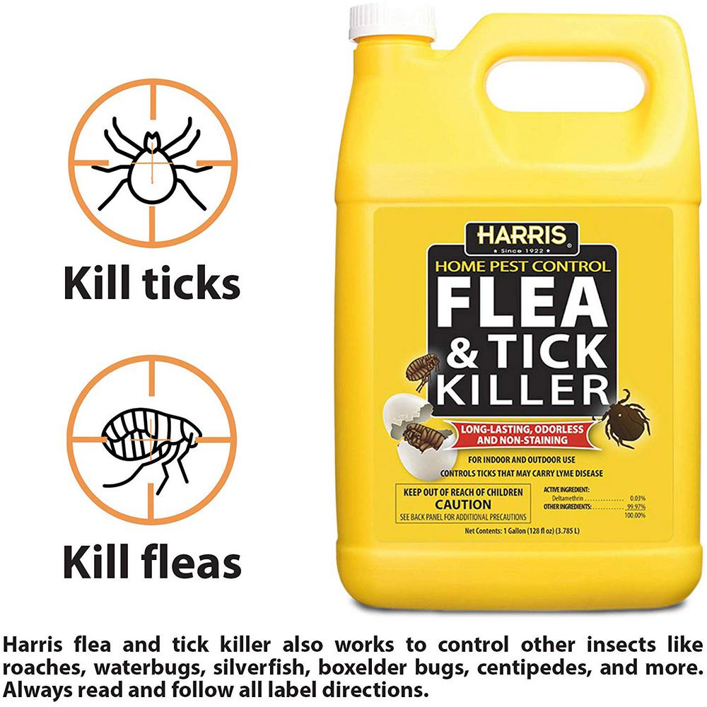 flea control for home