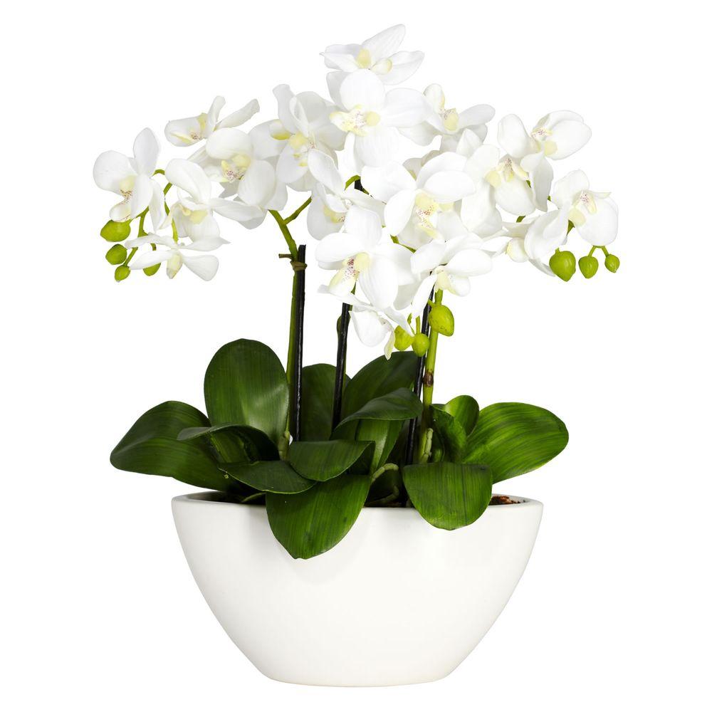 Nearly Natural 16 In H White Phalaenopsis Silk Flower Arrangement