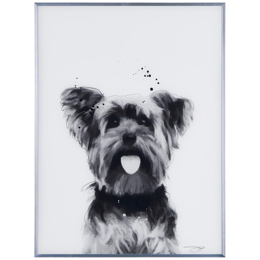 yorkshire terrier black and white