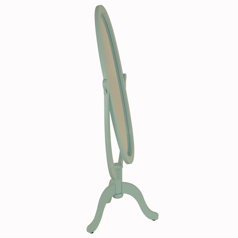Decor Therapy Aurora 48 In H X 15 In W Cheval Framed Floor