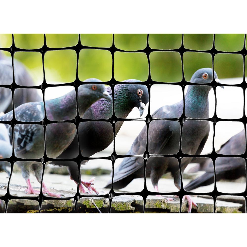 Bird-X 200 ft. x 14 ft. Standard Bird Netting-NET-STD-200-14 - The Home ...