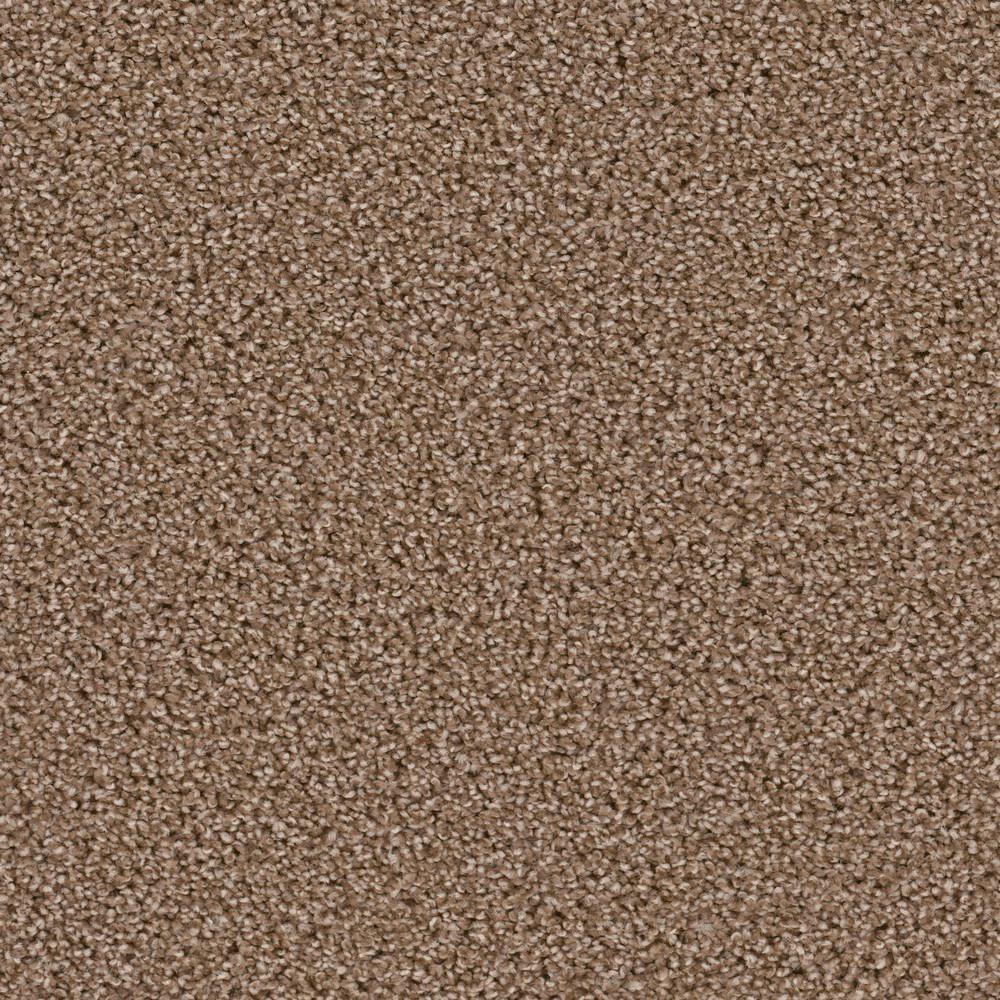 Trafficmaster Lucky I Color Coin Texture 12 Ft Carpet H0125 388 1200 The Home Depot