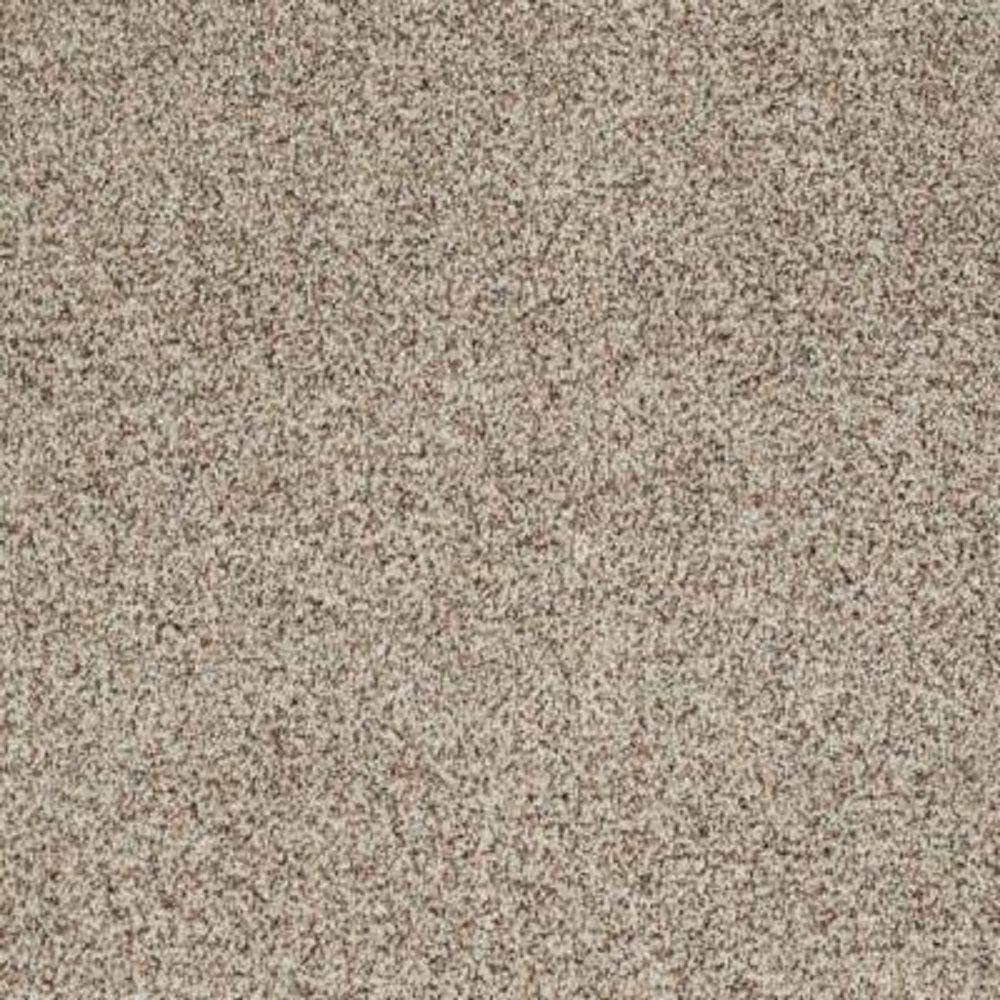 SoftSpring Carpet Sample Heavenly II Color Ecru Texture 8 in. x 8