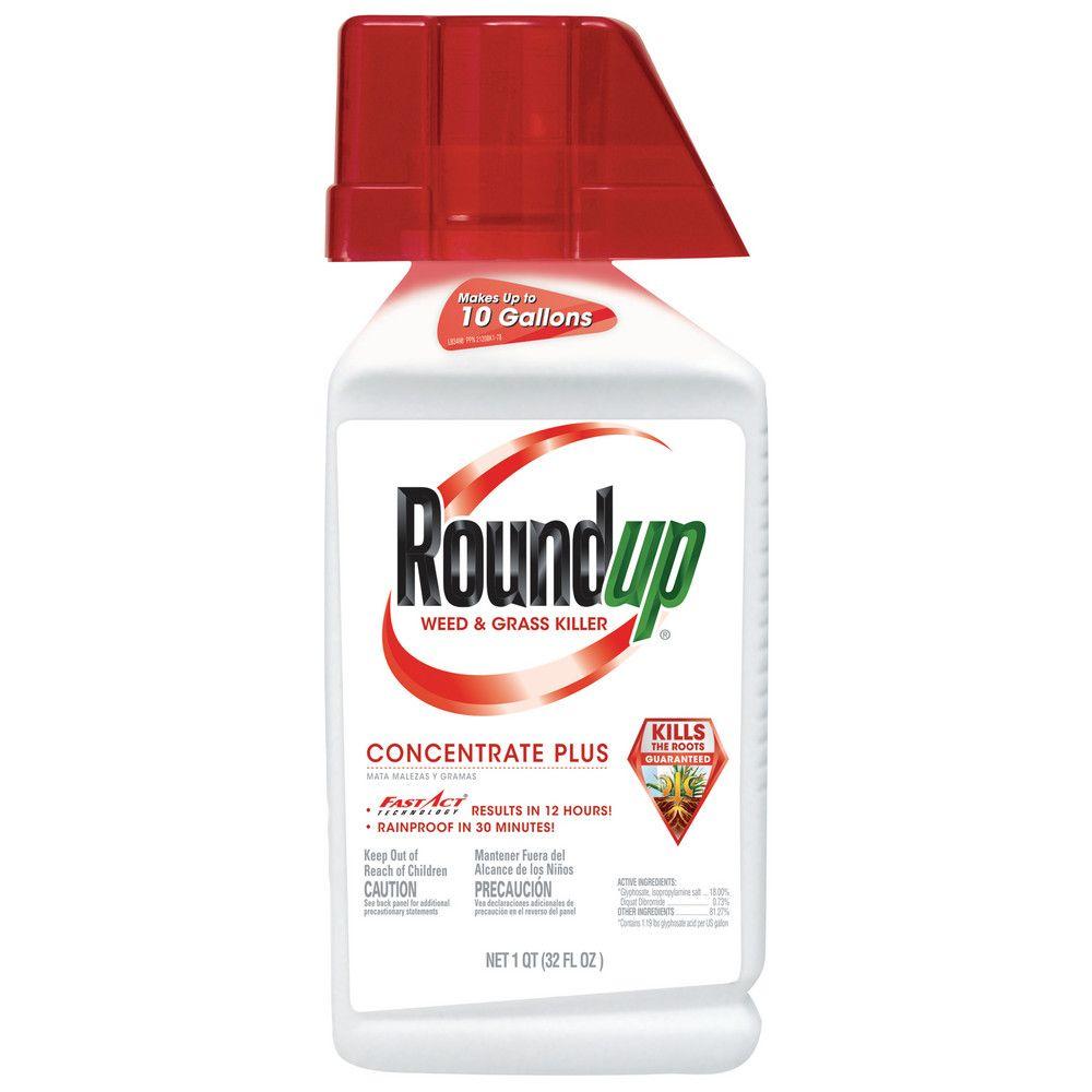 Roundup 32 oz. Concentrate Weed and Grass Killer (Case of 