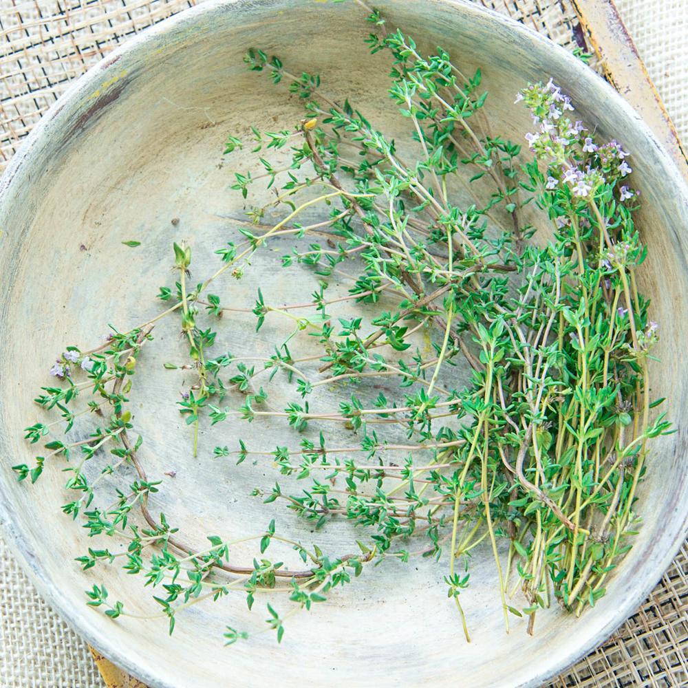 Gurney's Herb German Winter Thyme (200 Seed Packet)70005 The Home Depot