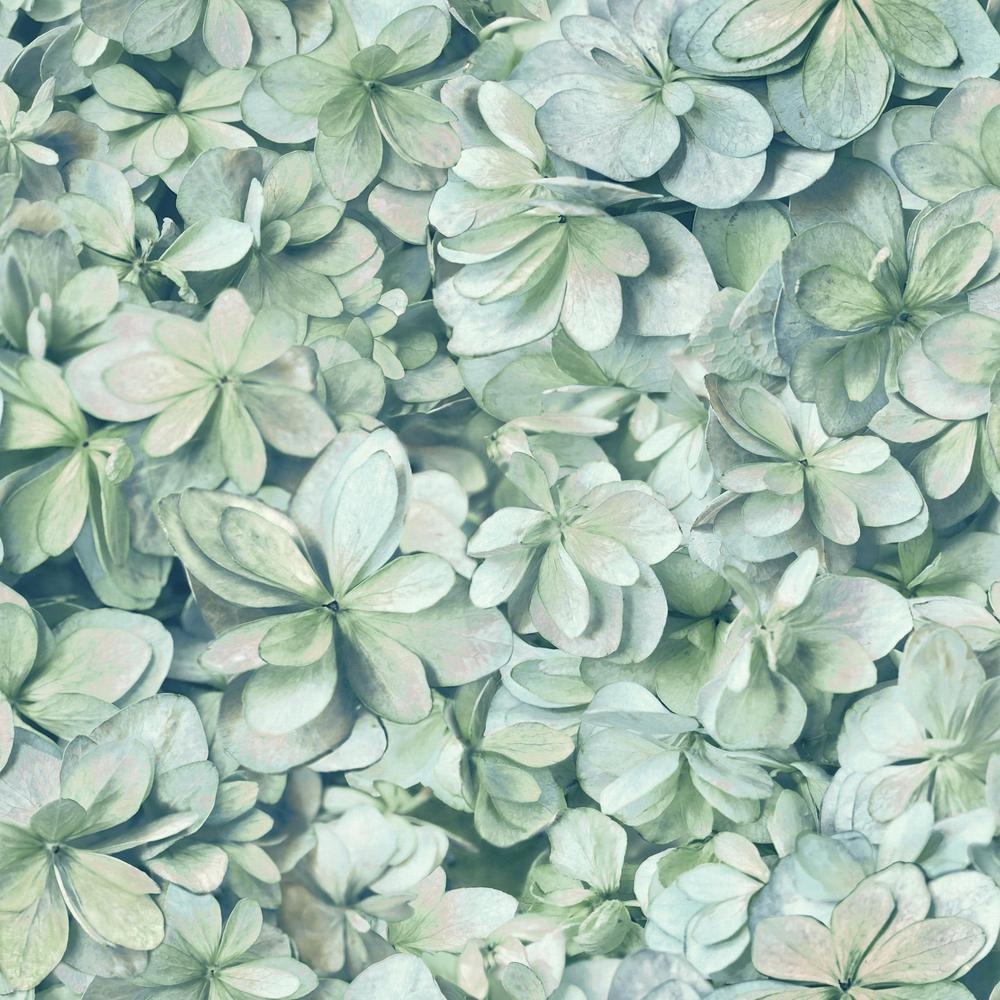 Roommates 28 29 Sq Ft Hydrangea L And Stick Wallpaper Roommates 28 29 Sq Ft Hydrangea L And Stick Wallpaper