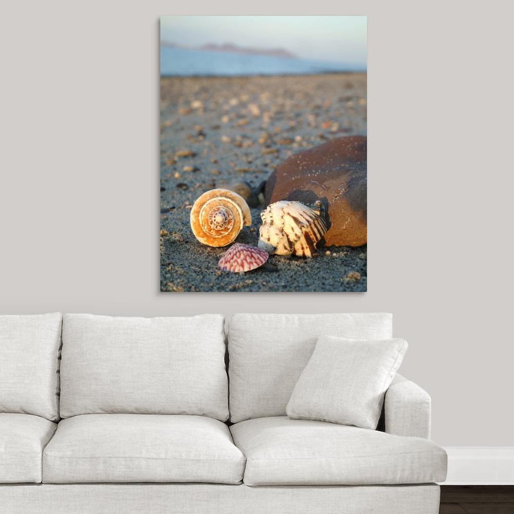 GreatBigCanvas "Beach Shells" by Great BIG Canvas Canvas Wall Art
