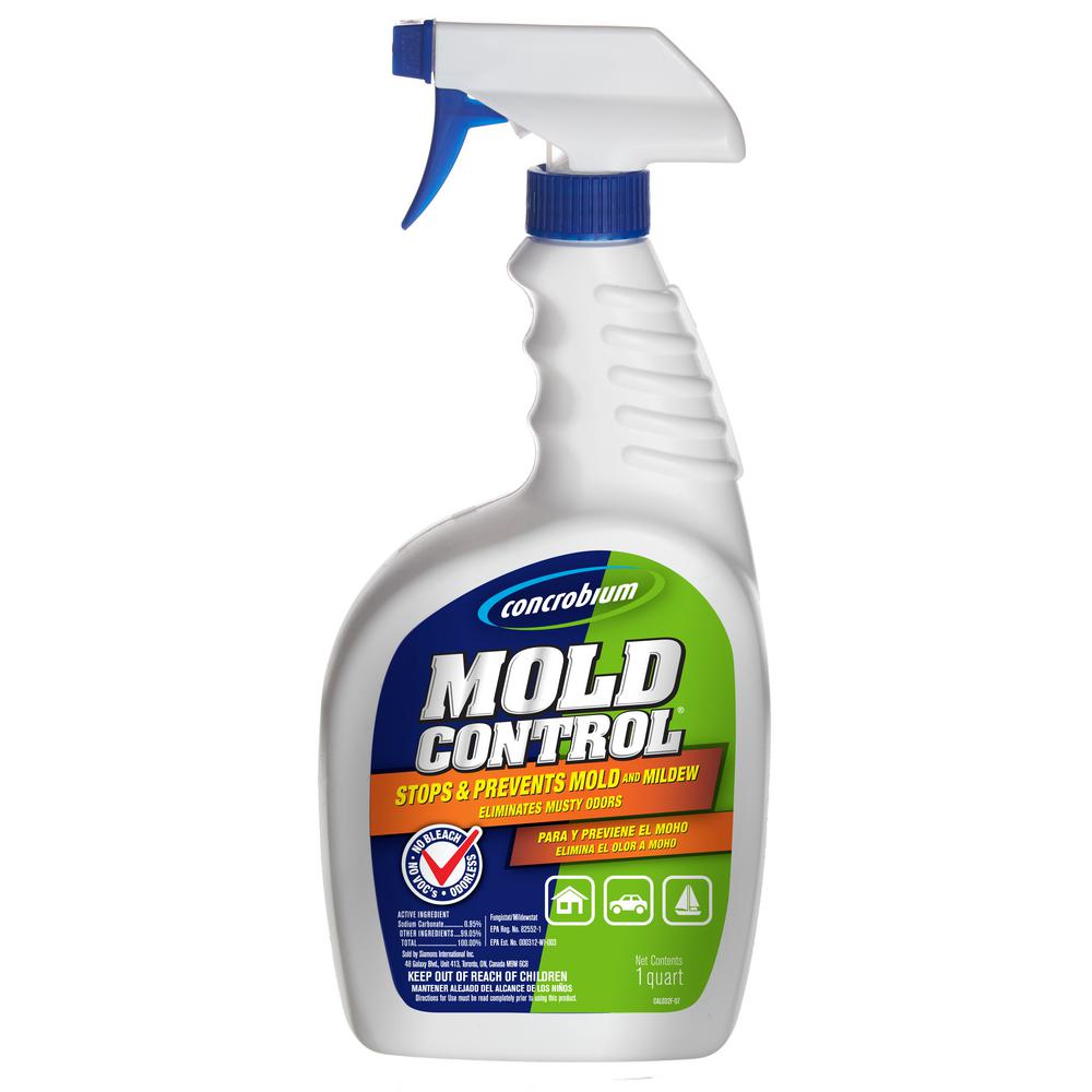 Mould treatment for wood