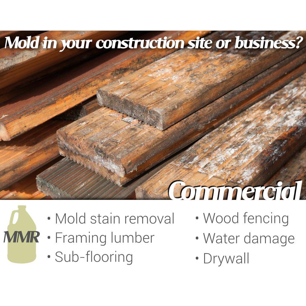 How To Remove Mold Stains From Hardwood Floors Floor Roma