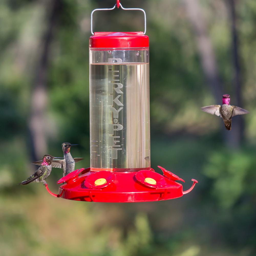 Perky Pet Grand Master Plastic Hummingbird Feeder 48 Oz Capacity 220 The Home Depot