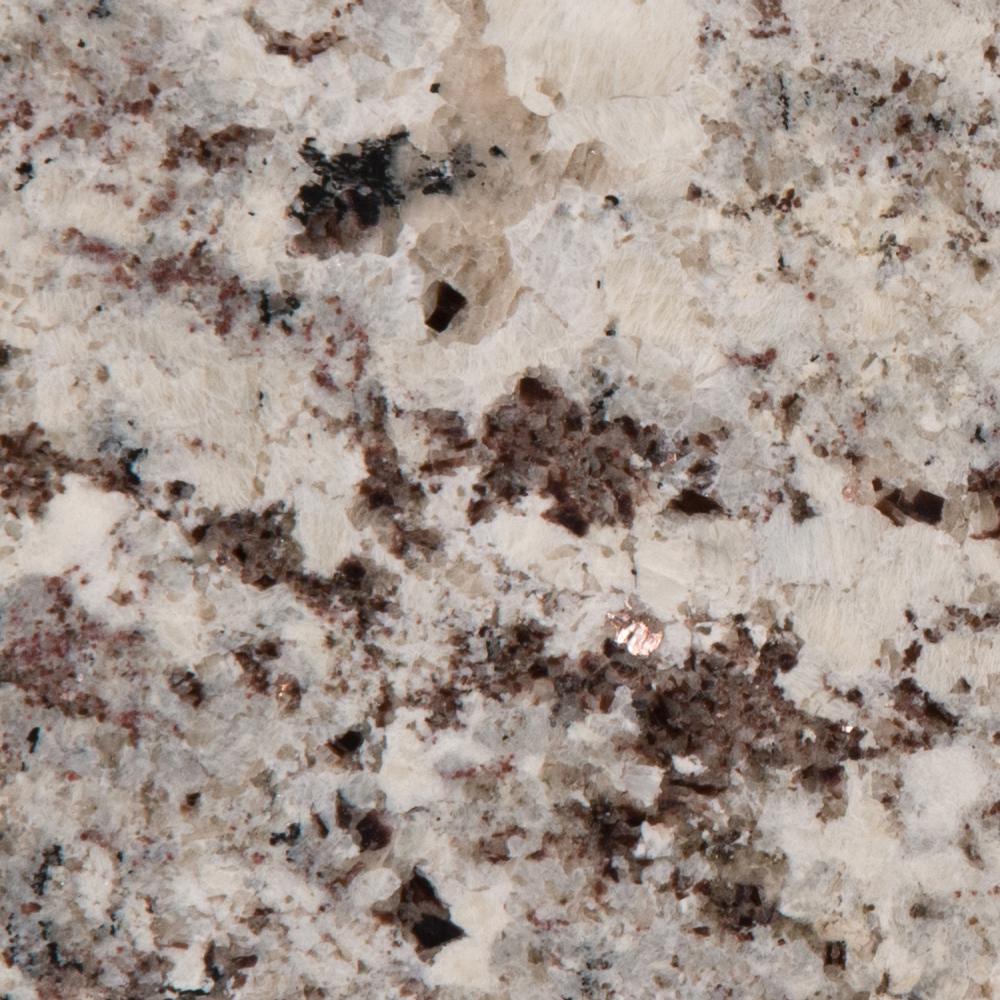 Stonemark 3 in. x 3 in. Granite Countertop Sample in ...