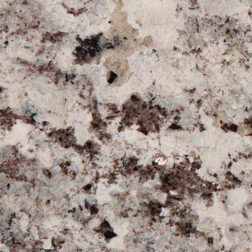 Stonemark 3 In X 3 In Granite Countertop Sample In Alaska White