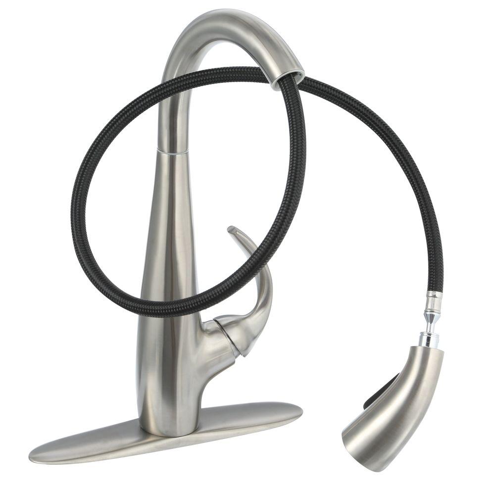Pfister Avanti Single Handle Pull Down Sprayer Kitchen Faucet In