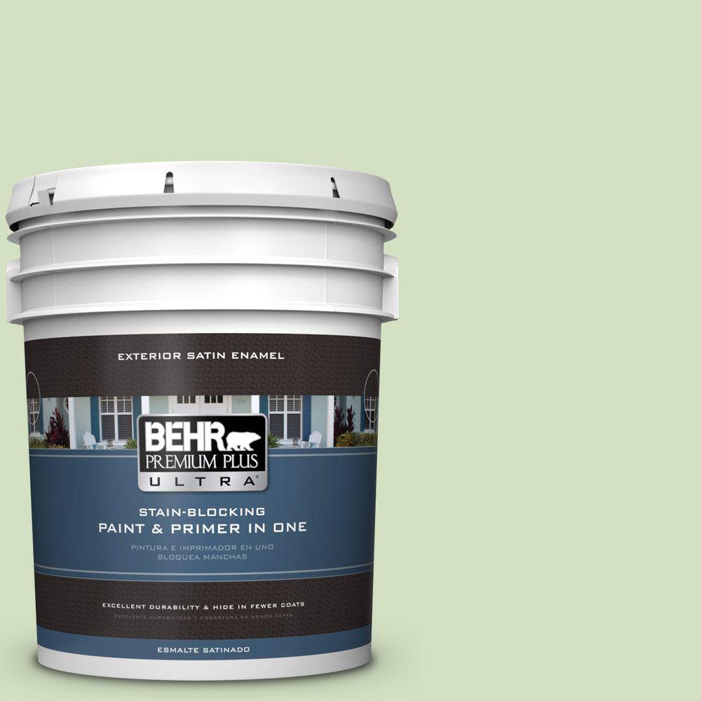 BEHR Premium Plus Ultra 5gal. P3803 Irish Folklore Satin Enamel