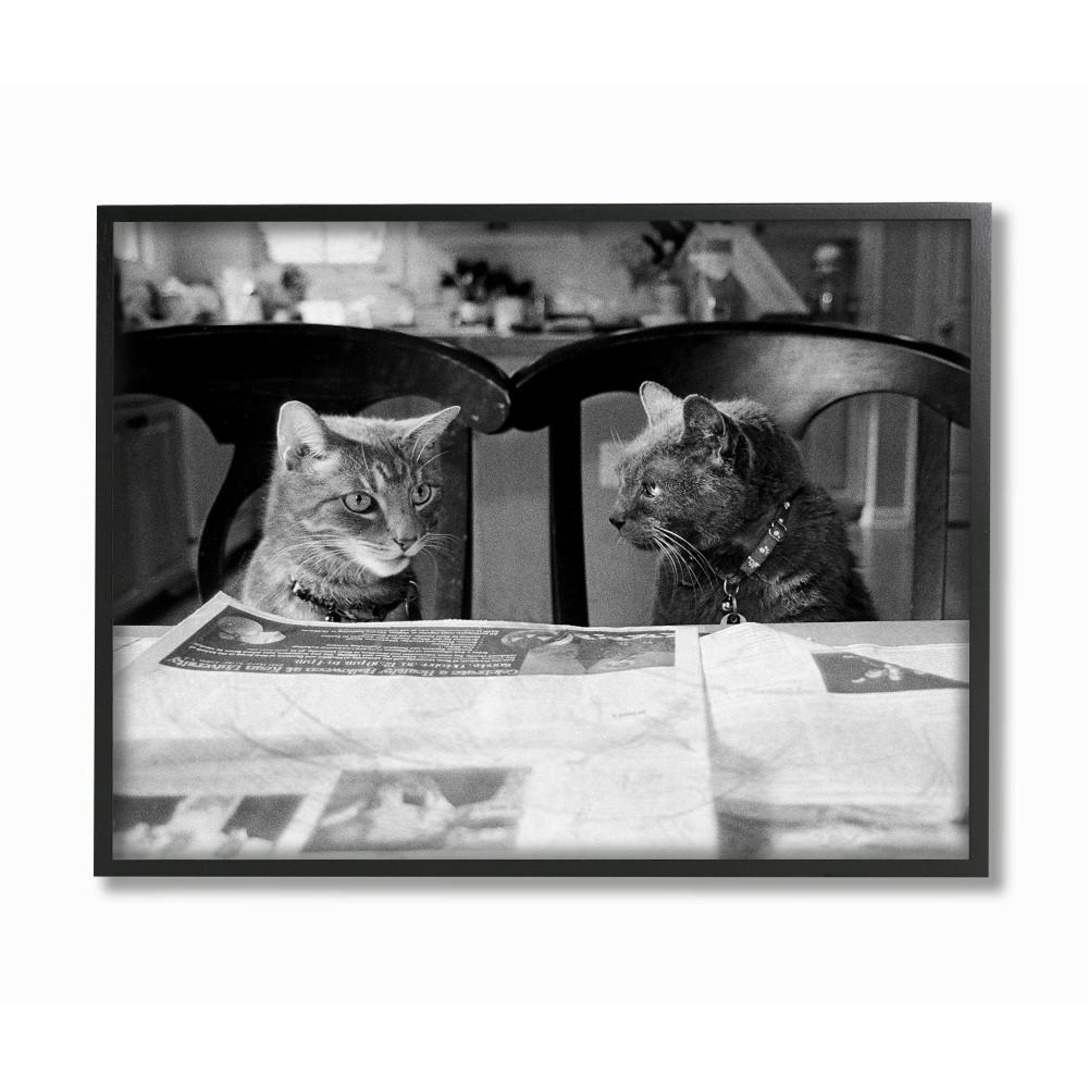 Multi-Color Stupell Industries Black and White Cats Gossiping Before Dinner Photograph Wall Plaque 10 x 15