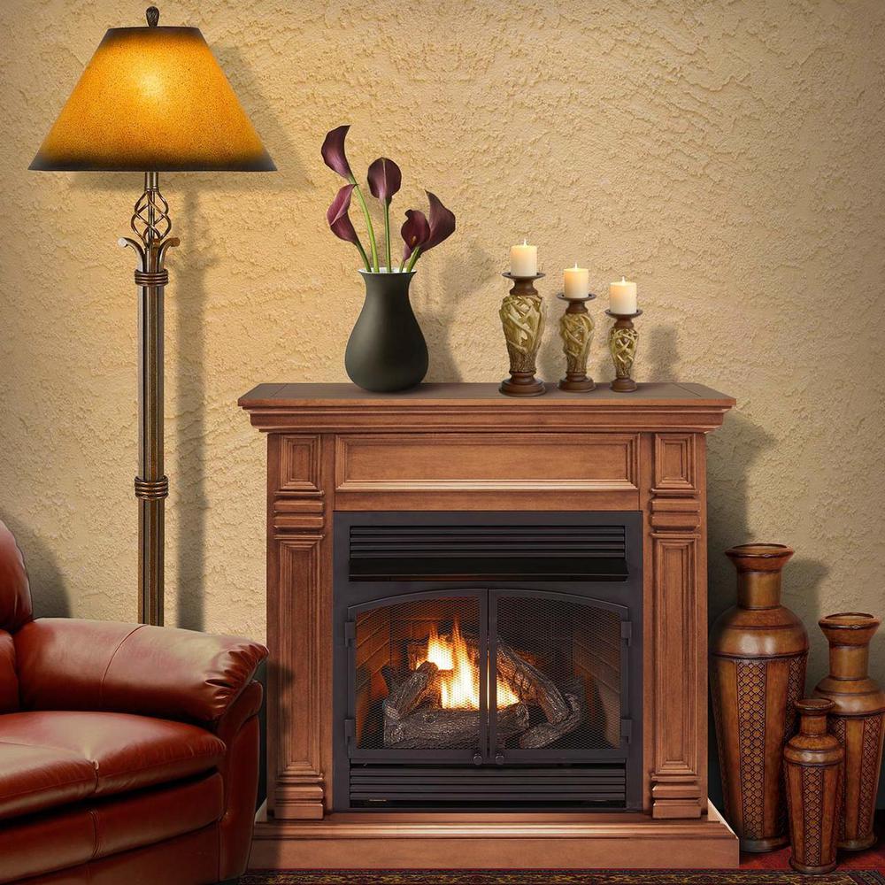 32,000 BTU Ventless Dual Fuel Technology Fireplace System