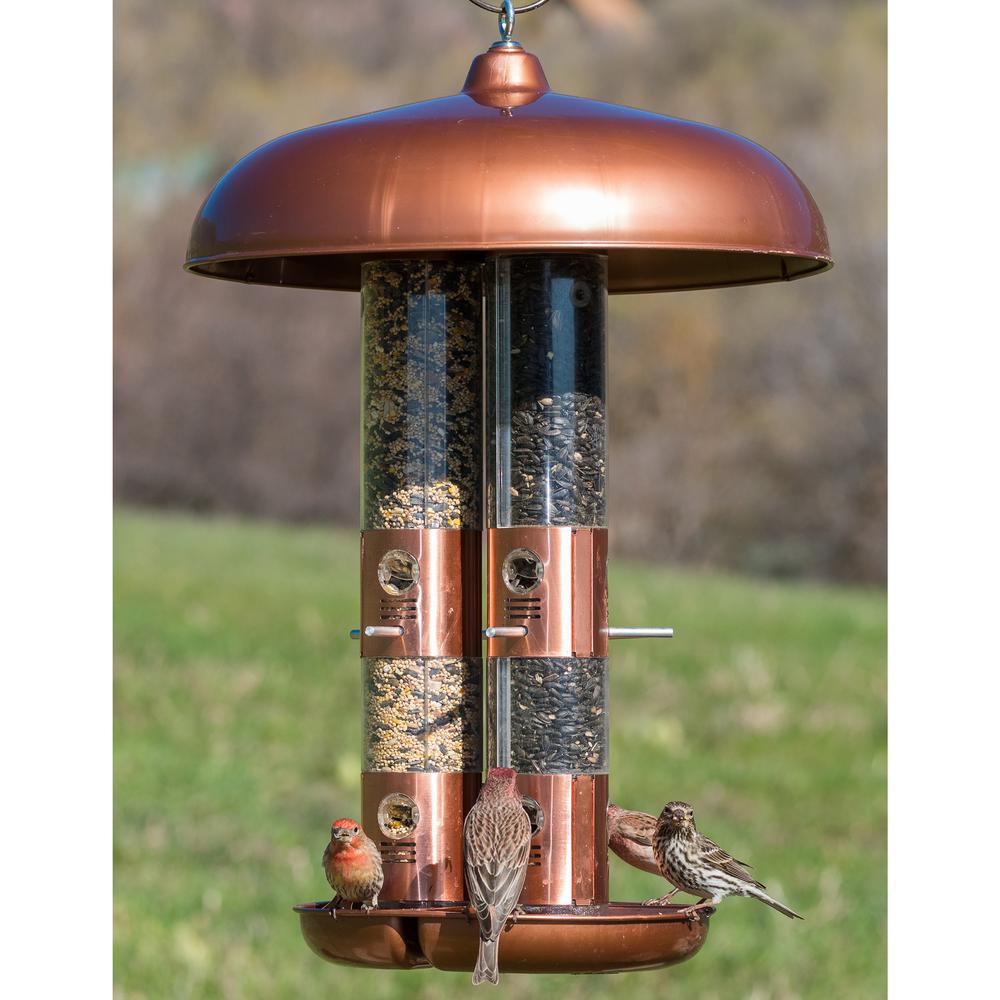 Perky Pet Copper Triple Tube Squirrel Proof Bird Feeder 10 Lb