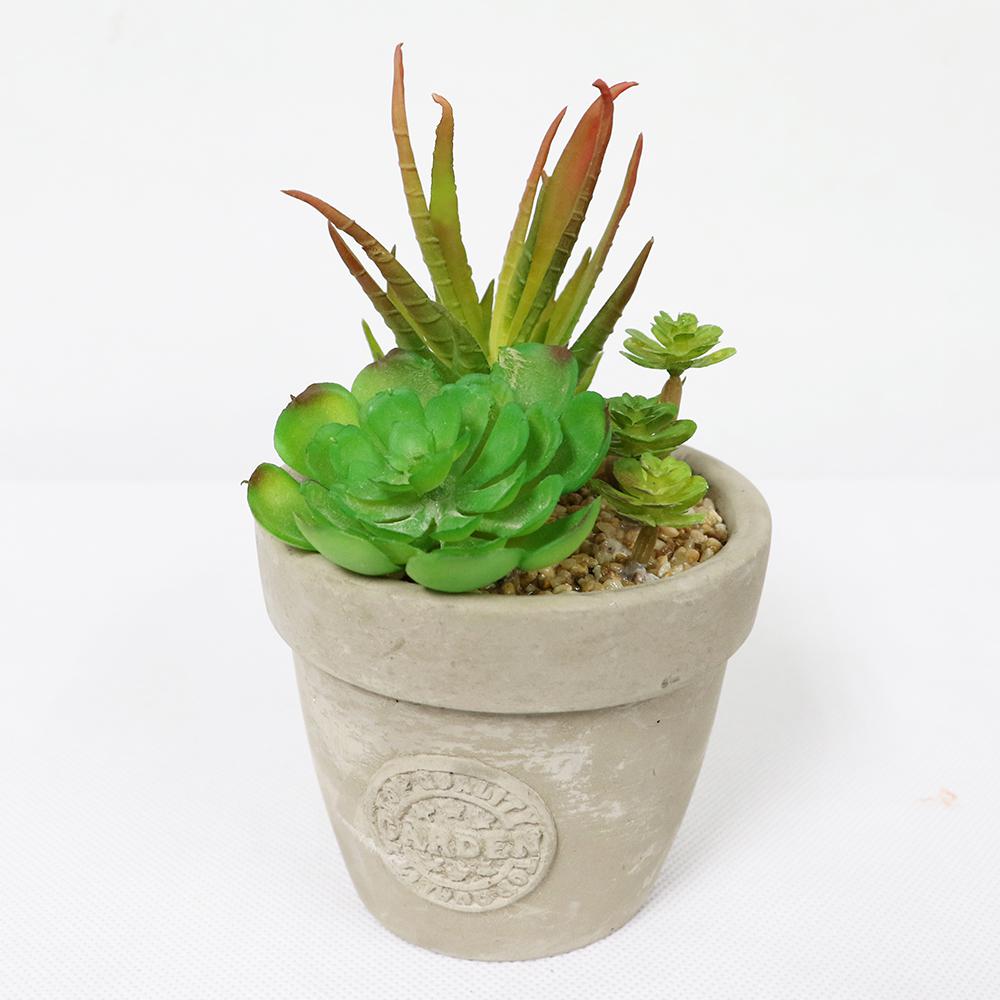 5 in. Indoor Artificial Succulents in Pot297TB805 The Home Depot