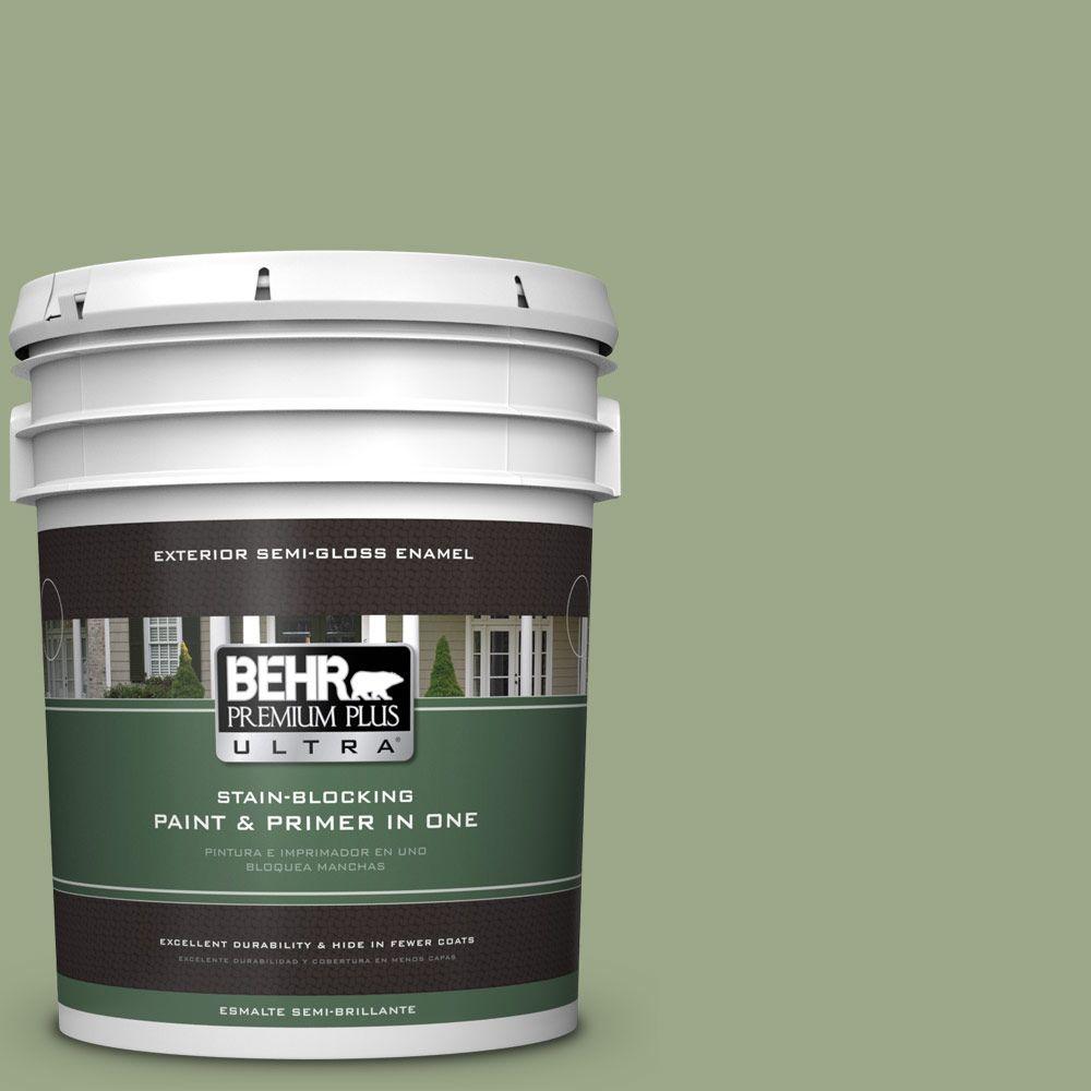 BEHR Premium Plus Ultra 5gal. PPU117 Clary Sage Semi