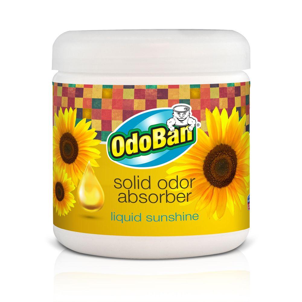 OdoBan 14 oz. Liquid Sunshine Solid Odor Absorber9735K0114Z The