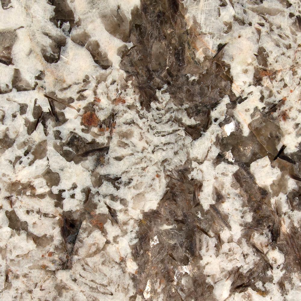 Stonemark 3 In X 3 In Granite Countertop Sample In Bianco Antico