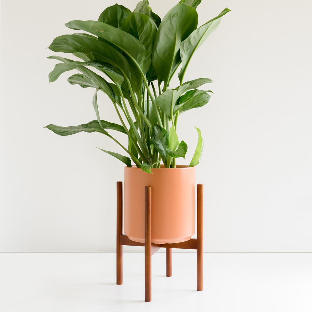 Peach &amp; Pebble 12 in. Peach Ceramic Planter with Medium