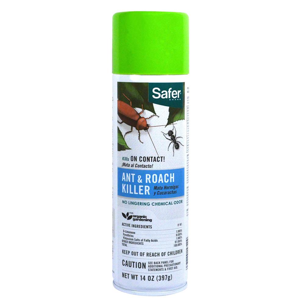 Safer Brand Ant and Roach Killer PoisonFree Aerosol Spray57206 The