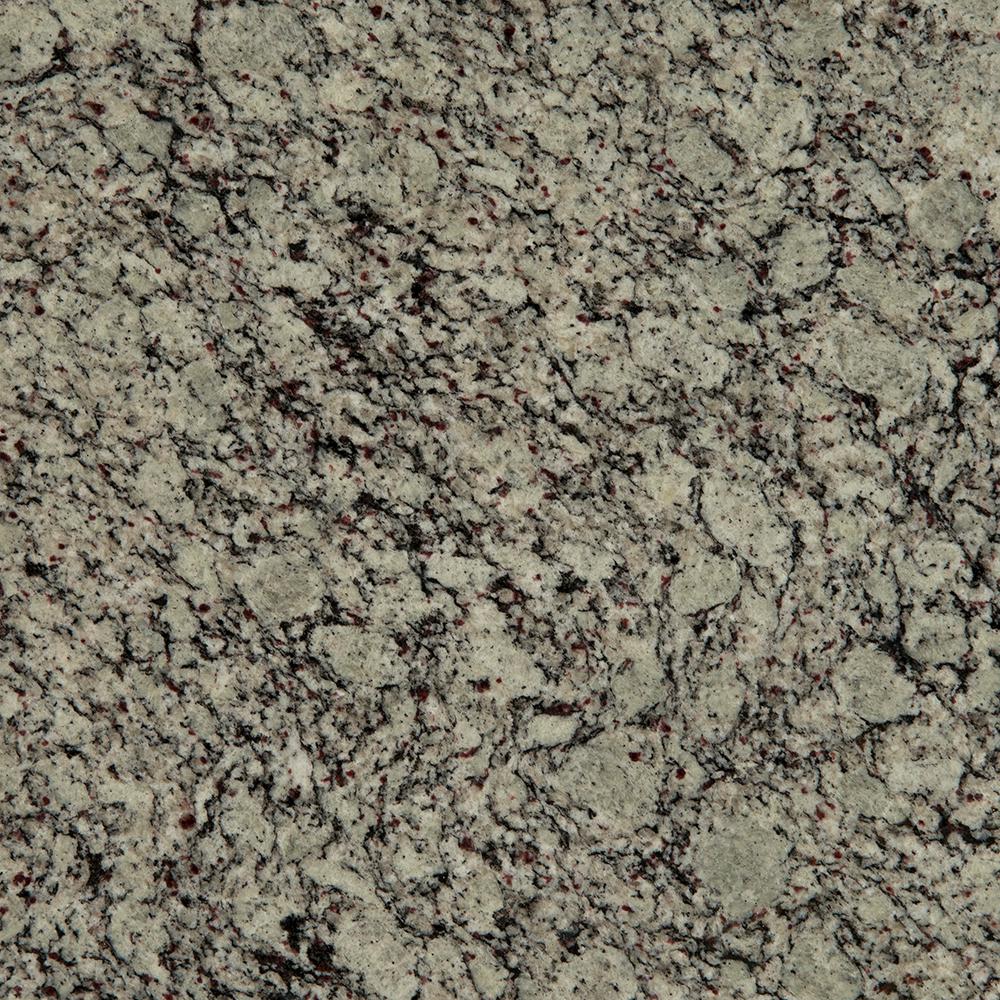 Msi 3 In X 3 In Granite Countertop Sample In Silver Mist P Rsl