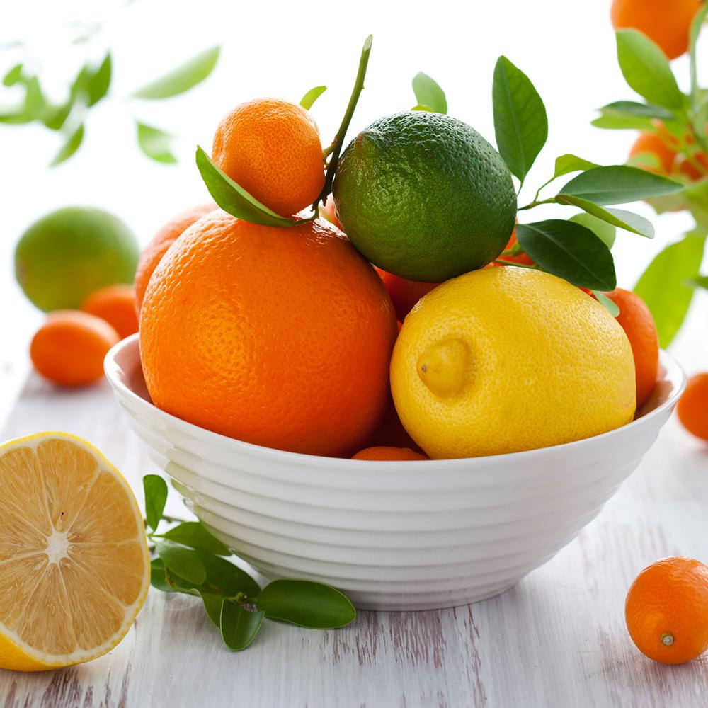 Van Zyverden Lemon Citrus Tree Improved Meyer 1 Plant 83903 The Home Depot - Lemon Patio Tree Van Zyverden Van Zyverden Lemon Citrus Tree Improved Meyer 1 Plant 83903 The Home Depot - Lemon Patio Tree Van Zyverden