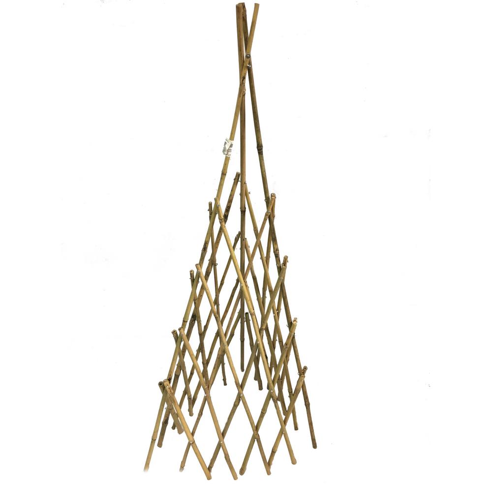 Bond Manufacturing 72 in. Bamboo Teepee Trellis-TP72 - The Home Depot