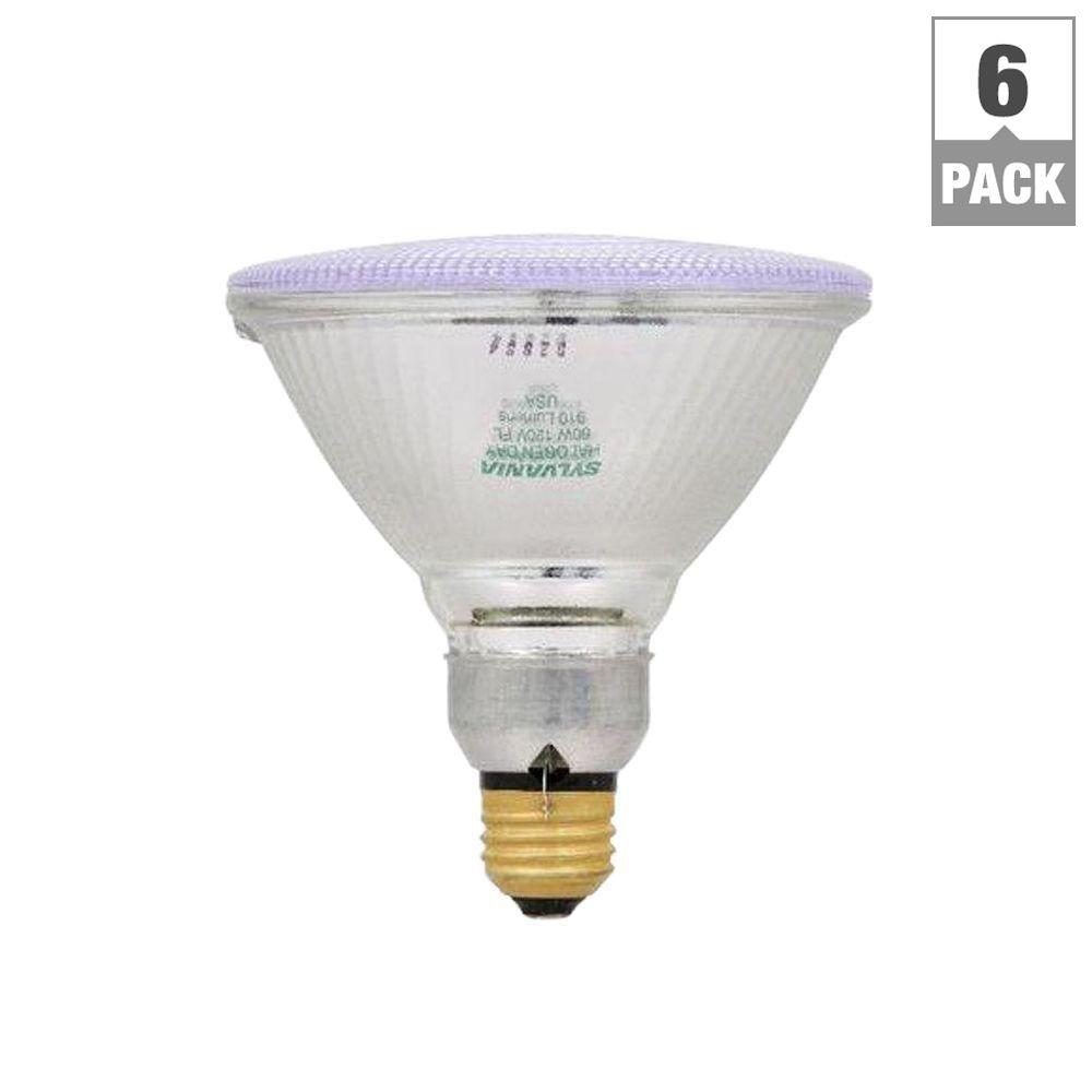 Sylvania 60-Watt Halogen PAR38 Flood Light Bulb (6-Pack)-16740.0 - The ...