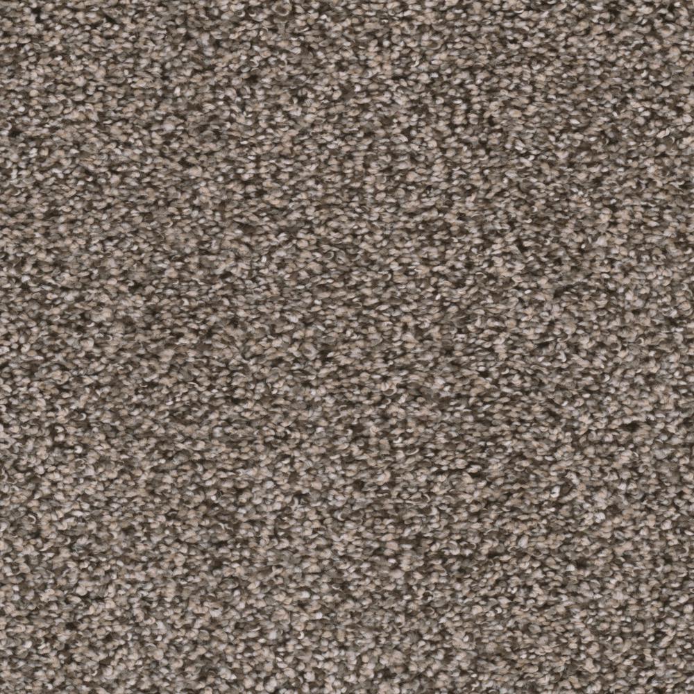 Home Decorators Collection Delight Ii Color Thrilled Texture 12 Ft Carpet H5154 247 1200 The Home Depot