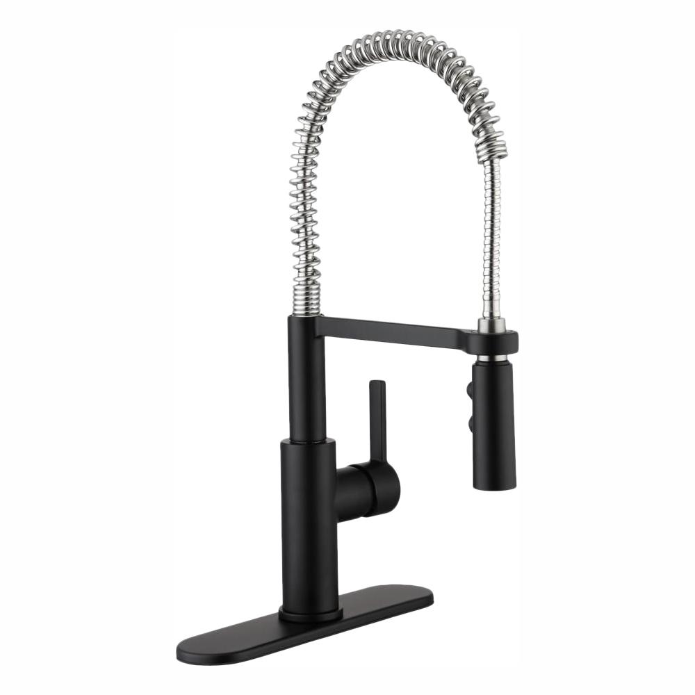 Glacier Bay Statham Single Handle Coil Spring Neck Kitchen Faucet