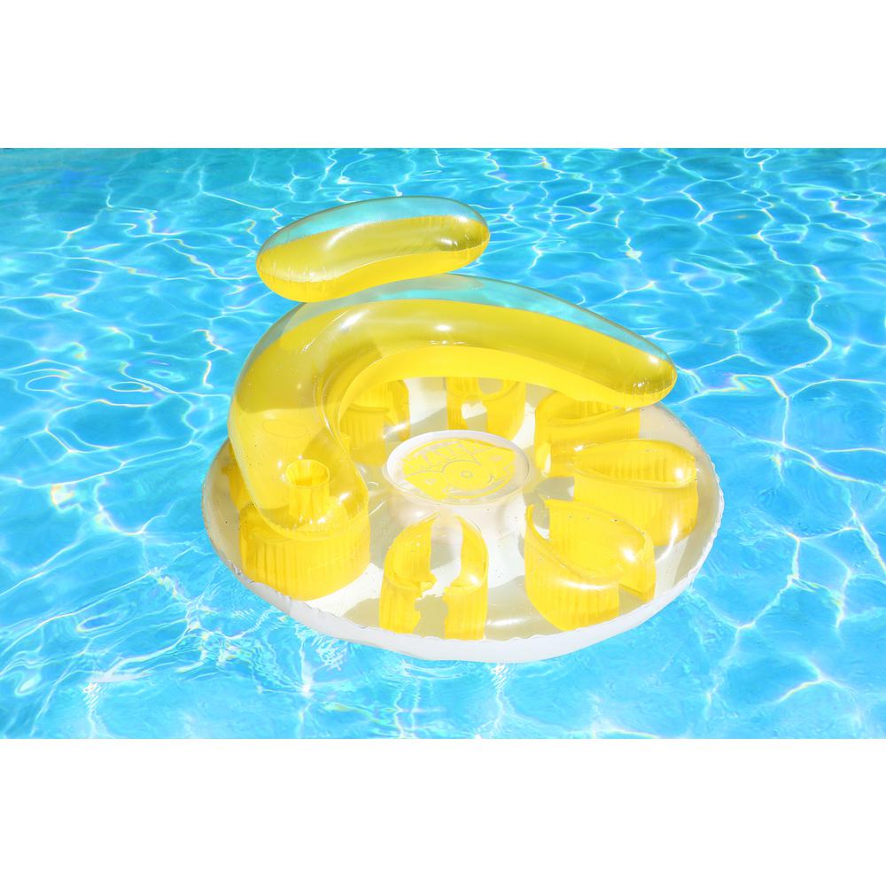 circular pool float