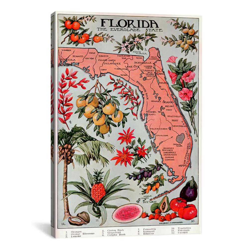 Icanvas State Map Of Florida Natural Resources By Vintage Poster Canvas Wall Art 8810 1pc3 40x26 The Home Depot