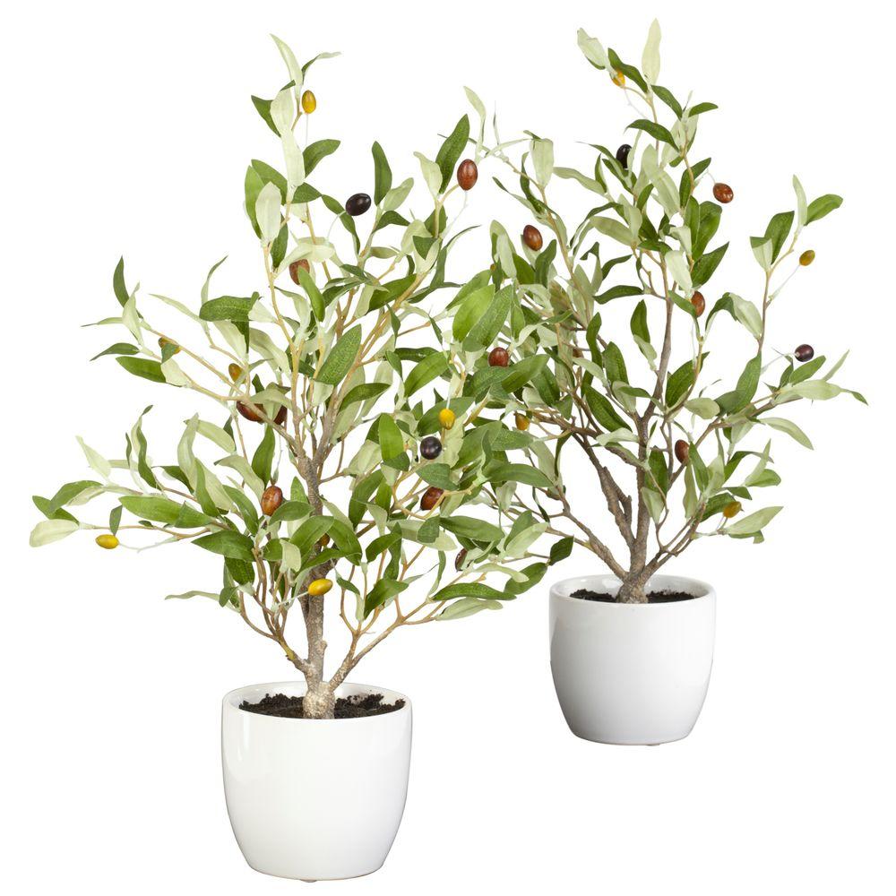18 in. H Green Olive Silk Tree with Vase (Set of 2)