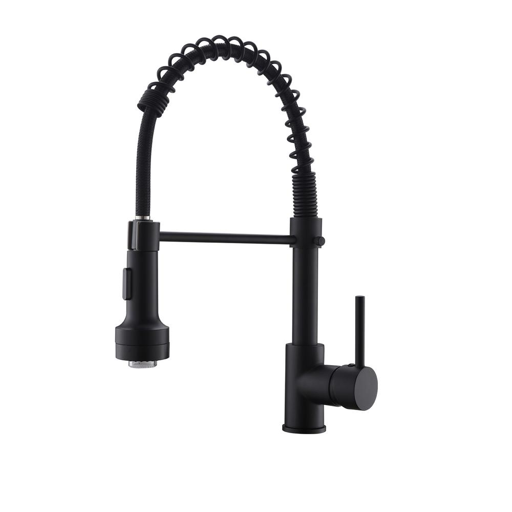 Boyel Living Stainless Steel Faucet Black Single Handle Faucet