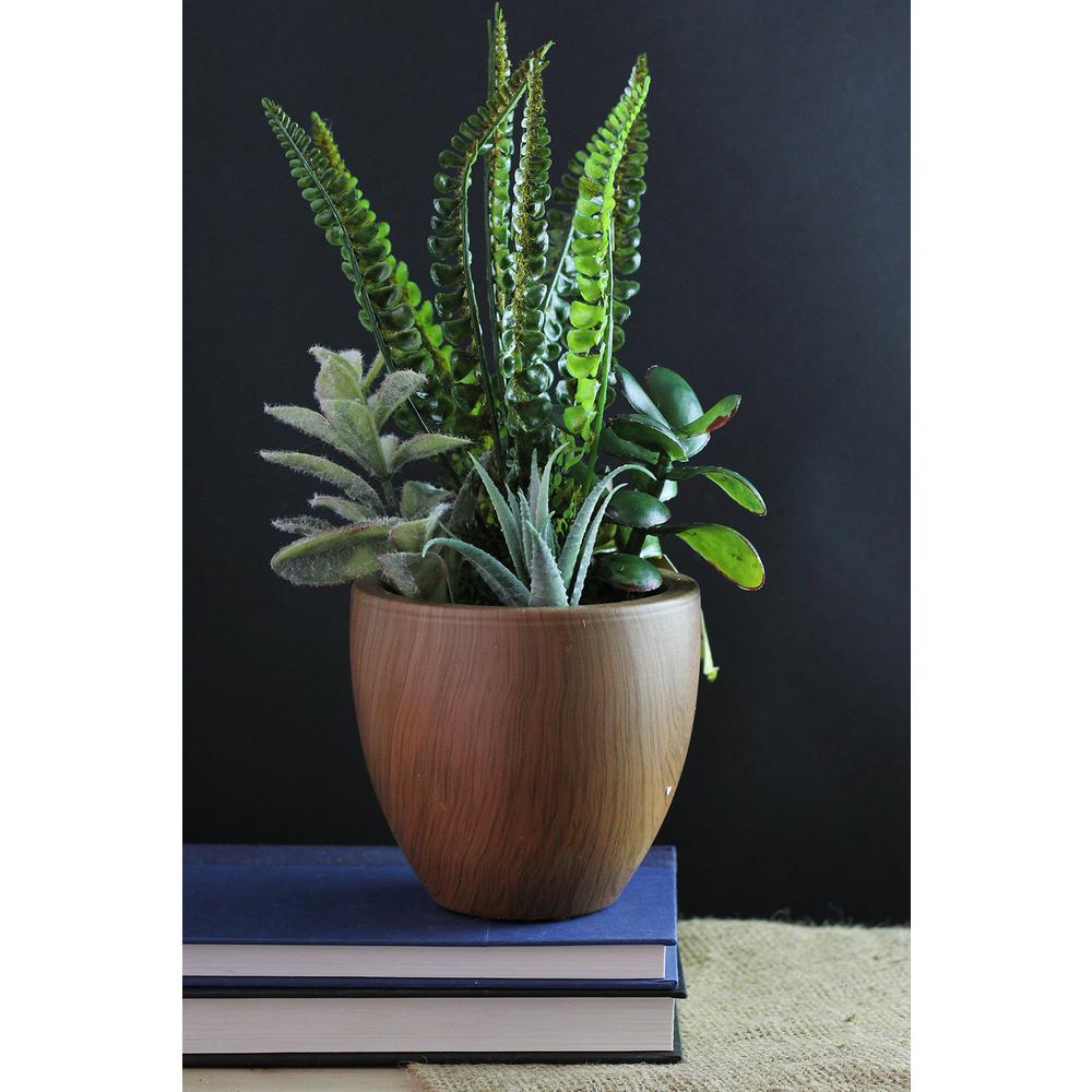 Northlight 12 in. Artificial Succulents and Fern Plants in Pot32037474