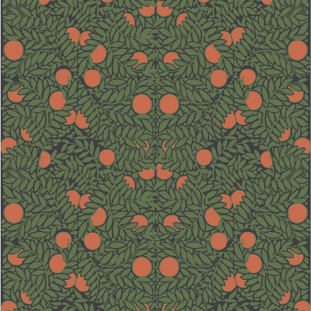 Mitchell Black Debut Collection Orange Bush in Forest/Orange Removable and Repositionable Wallpaper